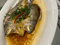 -桂林会展国际酒店-御园