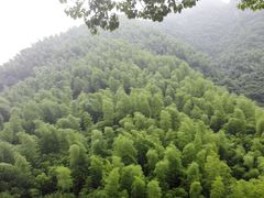 -长谷洞天