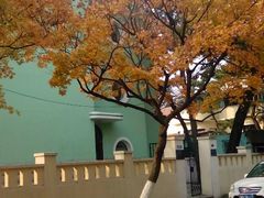 android_upload_pic-八大关景区