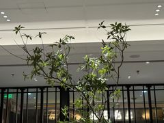 -金春禧(世茂国际广场店)