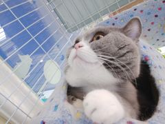 -安安宠医·安宠宠物医院