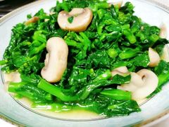 青菜蘑菇-宁海海鲜店(华严街店)