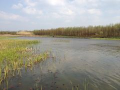 -溱湖国家湿地公园