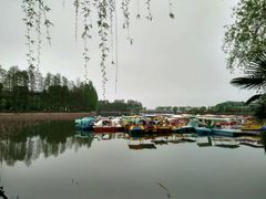 -东湖磨山景区