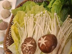 -同仁四季椰子鸡(罗湖国贸店)