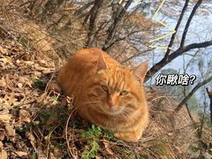 -终南山南五台景区