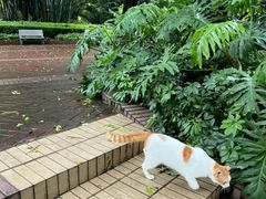 -晓港公园