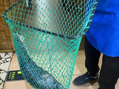 -大鹅岛灶台鱼·铁锅炖(水库路店)