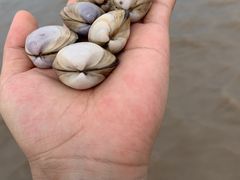 -启东黄金海滩景区