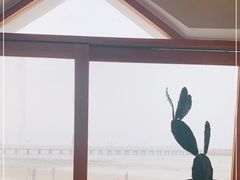 -ChanDu躔度咖啡(灯塔店)