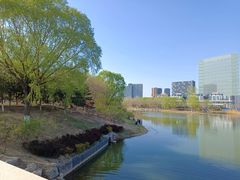 -大兴滨河森林公园