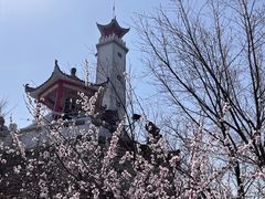 -狼牙山风景区