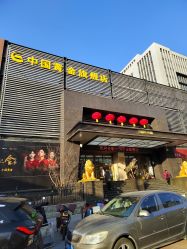 -中国黄金(北京旗舰店)