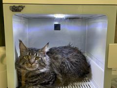 -沐沐家宠物(成寿寺店)