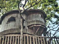 -田园东方蜜桃村的田野营地