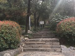 -云龙山