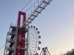 -花博汇(知音花月夜)