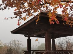 -东郊湿地公园