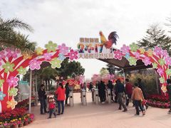 -天适樱花悠乐园