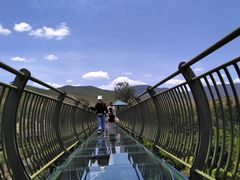 -世界恐龙谷景区