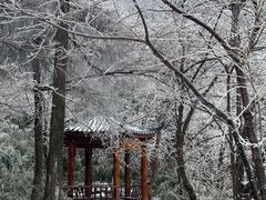 -永州阳明山国家森林公园