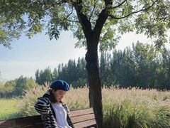 -汉长安城未央宫国家考古遗址公园