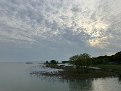 -苏州太湖湖滨国家湿地公园
