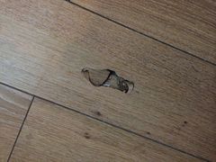 iphone_upload_pic-布丁严选酒店(杭州武林西湖文化广场地铁站店)