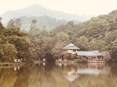 -孔雀园餐厅