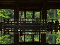 -兰亭风景区