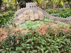 -南宫五洲植物乐园