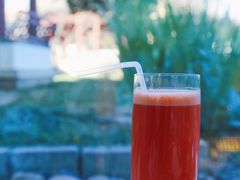 -九献·创意菜(亮马河饭店)