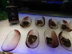 -海鼎荟海鲜姿造(晋江宝龙店)