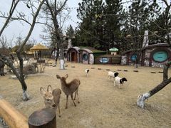 -茅山东方盐湖城景区