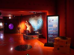 -沈阳海洋探索中心