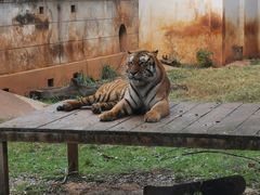 -昆明动物园