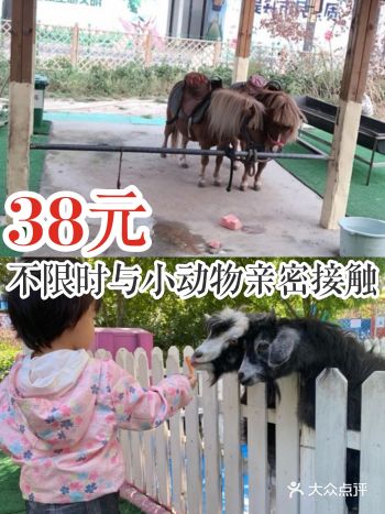 38元不限时与动物亲密接触
