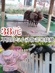 -萌宠亲子动物乐园(槐房万达店)