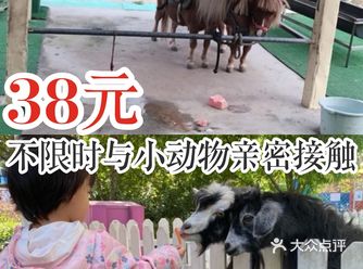 38元不限时与动物亲密接触