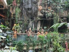 -正佳雨林生态植物园