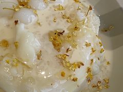 -ICEPOPO MILK(玉兰店)