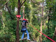 -芦仙山景区-飞越丛林探险乐园