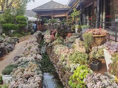 -山菌美食苑(振兴路店)