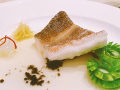 东星斑清蒸-8餐厅(新葡京酒店)