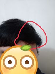 -蚂蚁造型沙龙