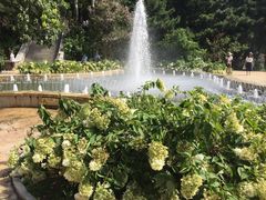 -燕塞湖鸟语林景区