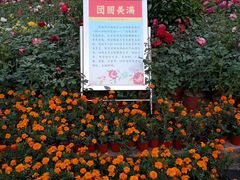-西清公园