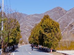 -妙峰山风景名胜区