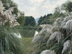-长广溪湿地公园