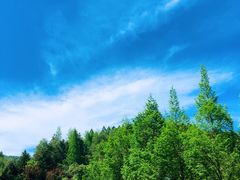 -井冈山风景名胜区